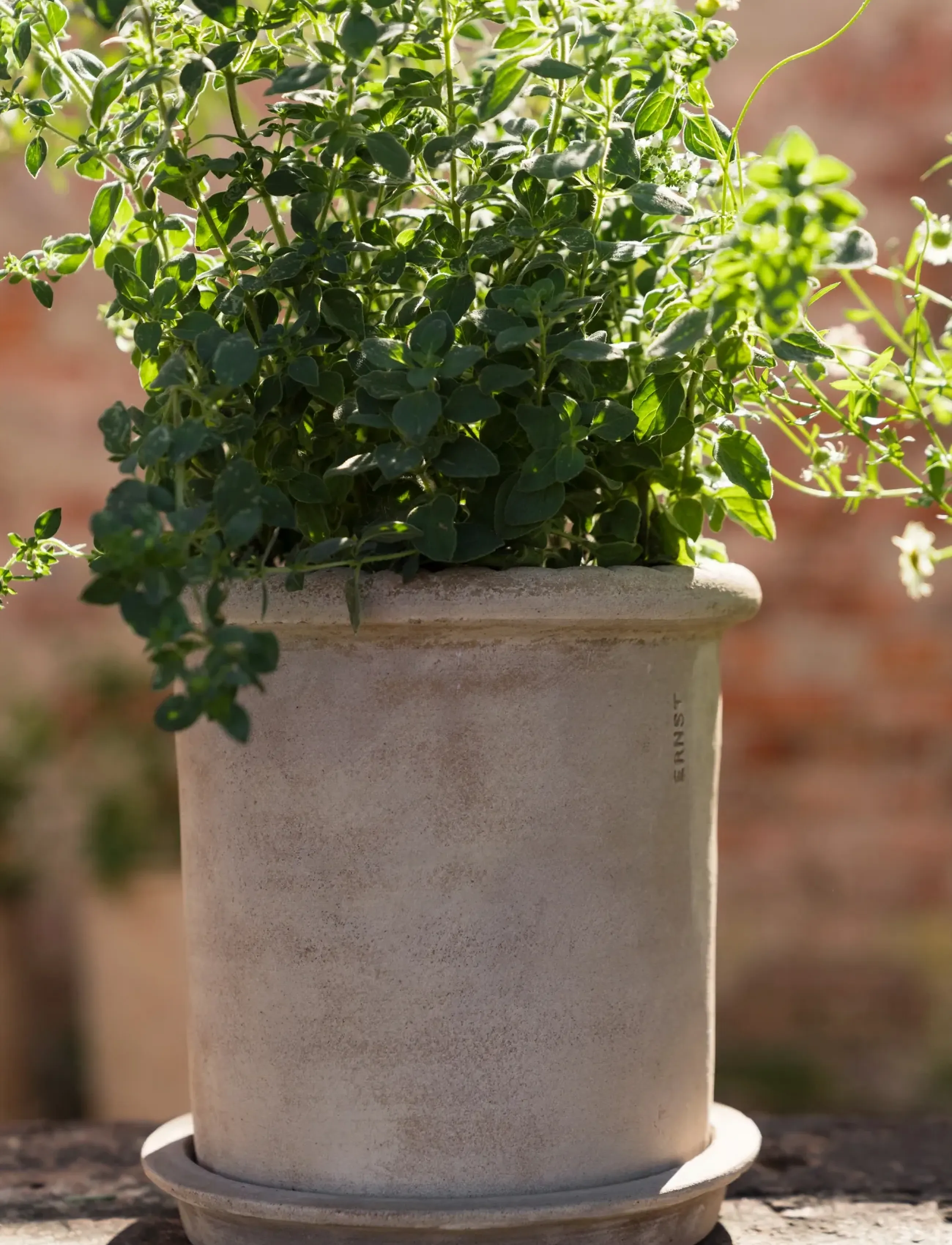 ERNST - Pot w saucer - garden accessories - terracotta - 4