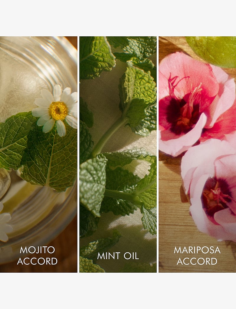 Escada - Escada Brisa Cubana Eau de toilette 30 ML - naistele - clear - 2