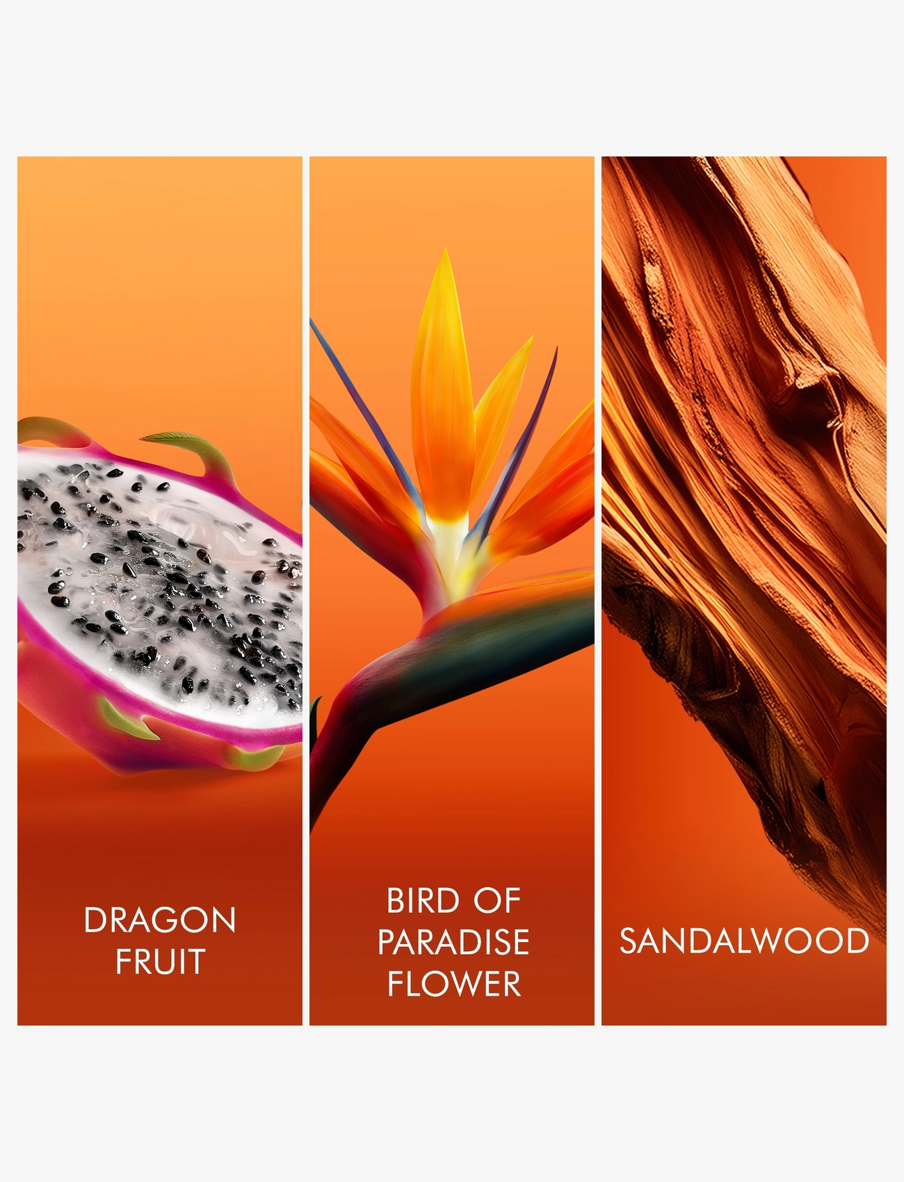 Bali Paradise Eau De Toilette 3