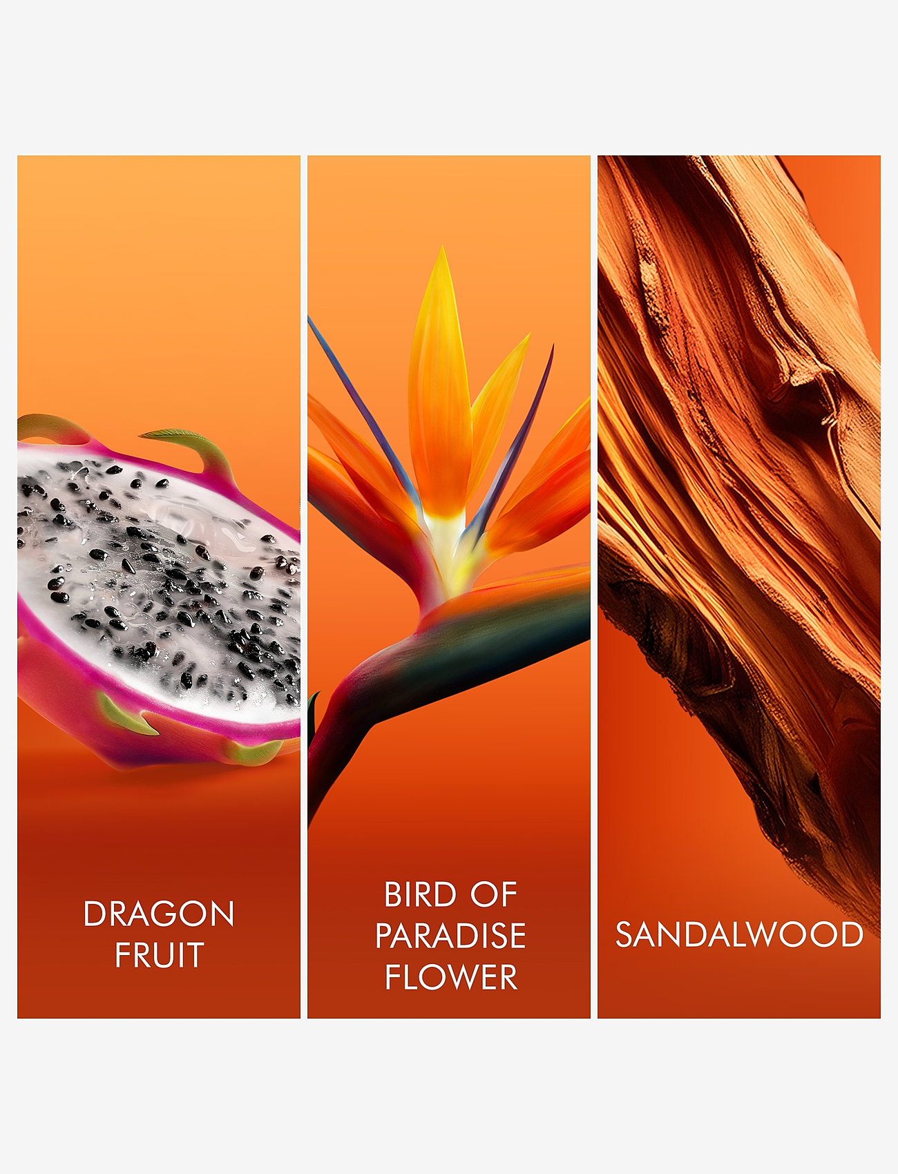 Escada - Bali Paradise Eau de toilette - naisille  - clear - 2