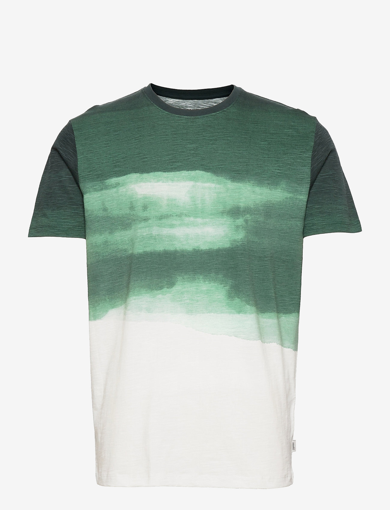 Jersey T-shirt with a print, 100% organic cotton - TEAL BLUE