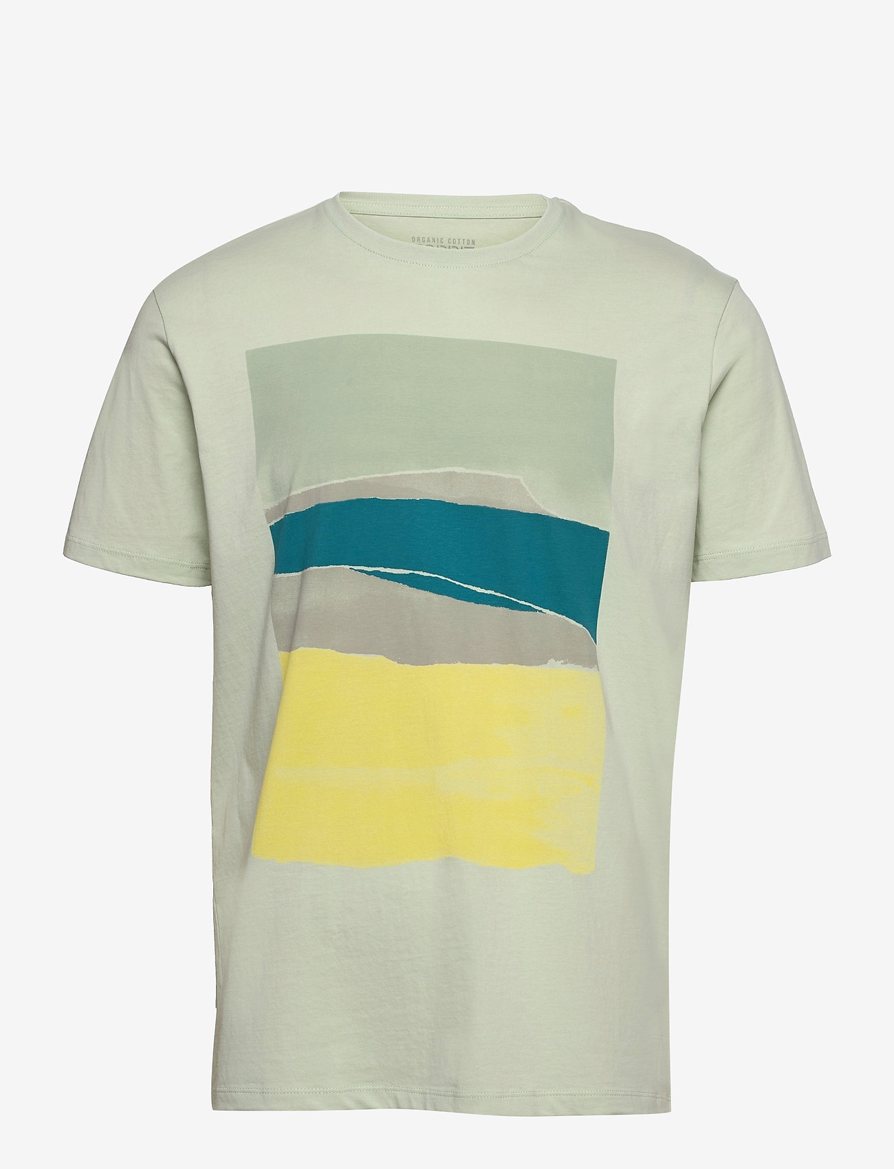 Jersey T-shirt with a print, 100% organic cotton - PASTEL GREEN