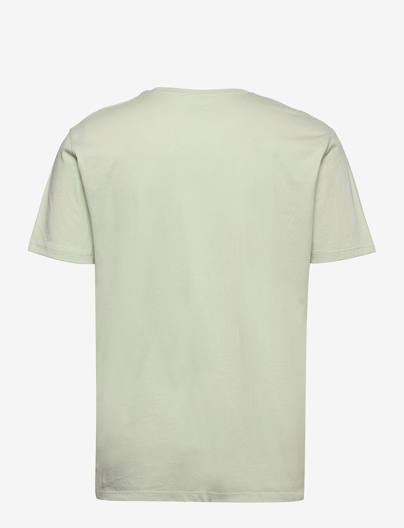 Esprit Casual - Jersey T-shirt with a print, 100% organic cotton - pastel green - 1
