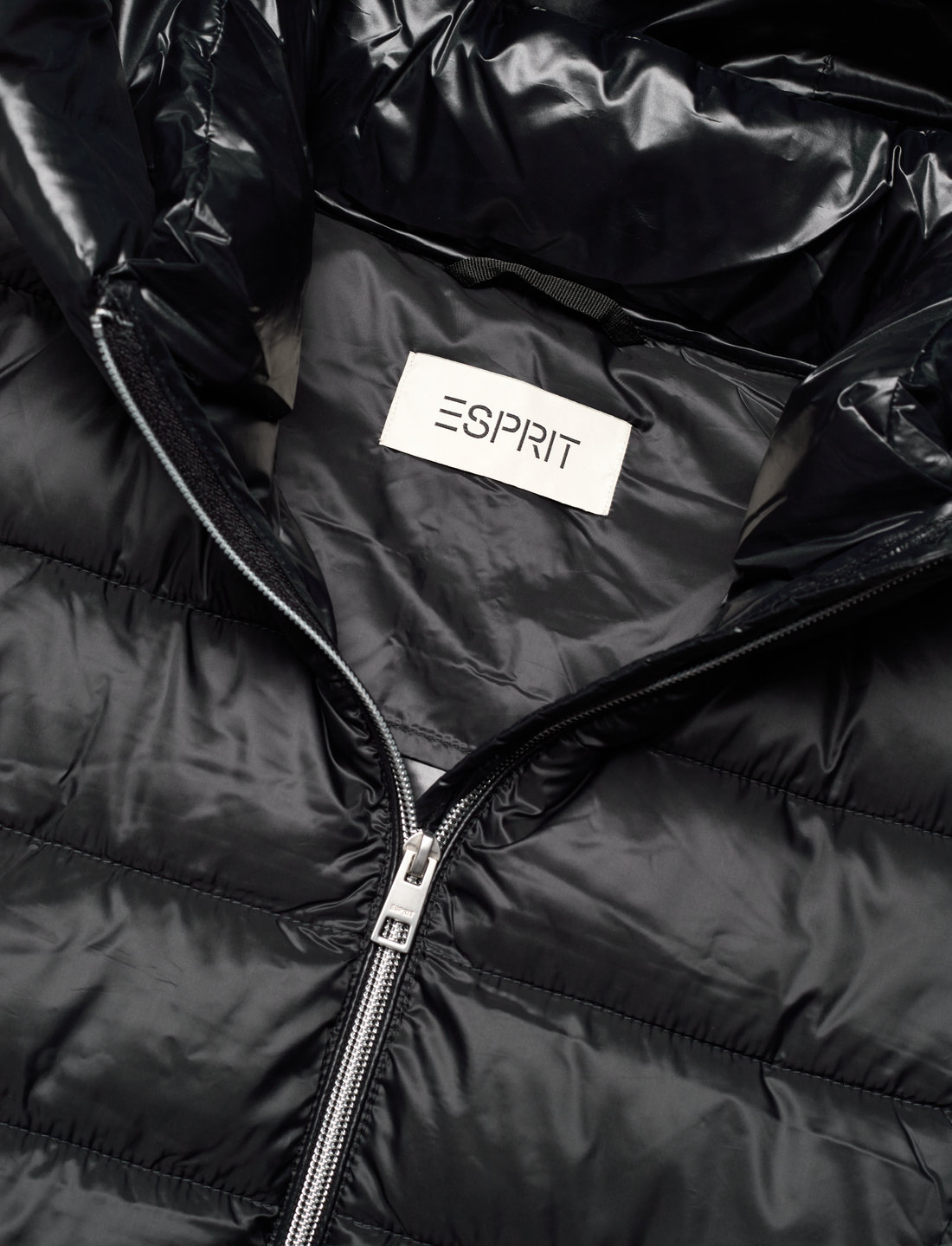 Esprit sales winter jacket