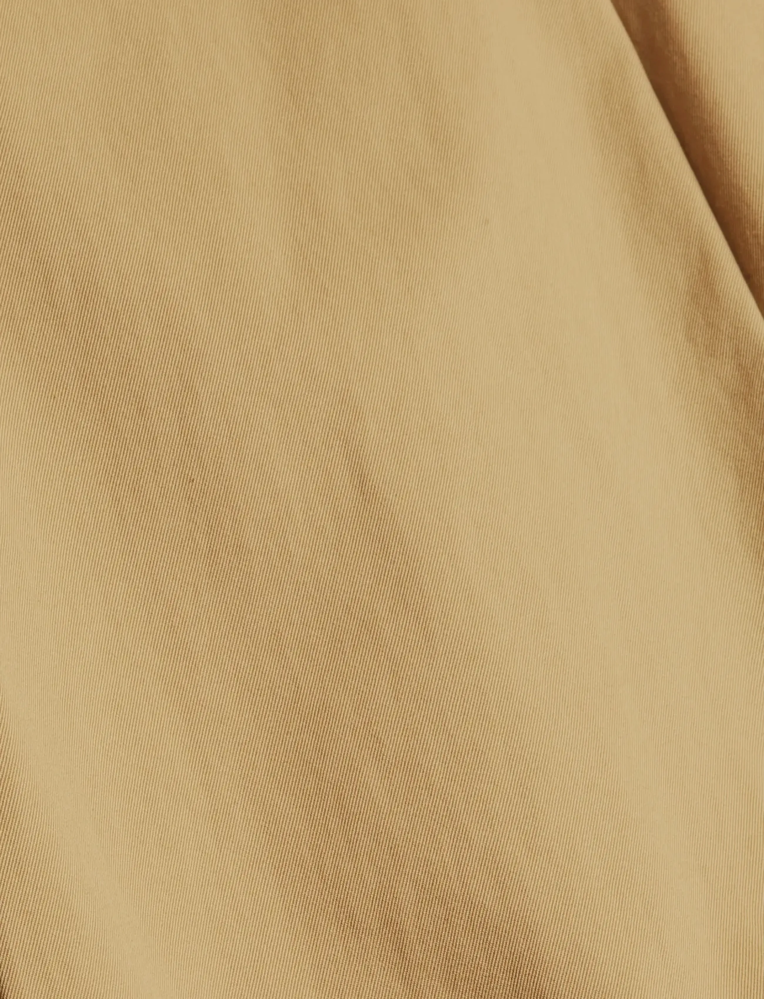 Esprit Collection - Chinos with an elasticated waistband made of blended organic - spodnie na co dzień - beige - 4