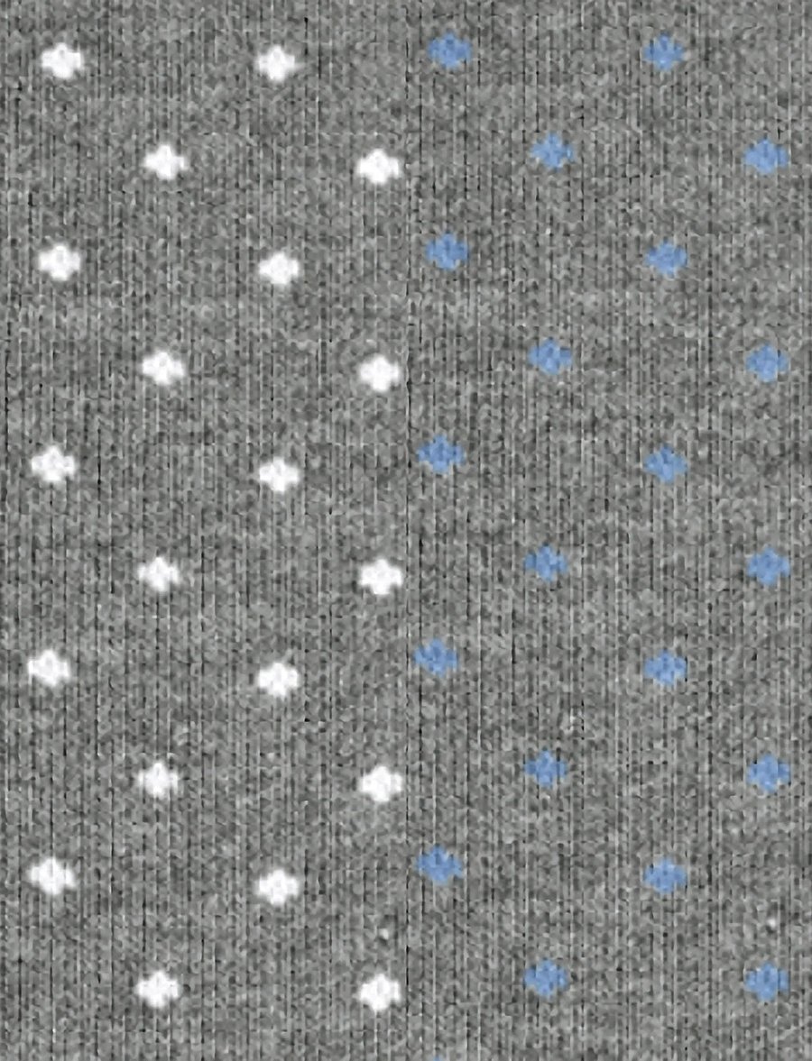 Esprit Socks - Fine Dot 2-Pack sustainable with pattern - klassikalised sokid - light greymel. - 5