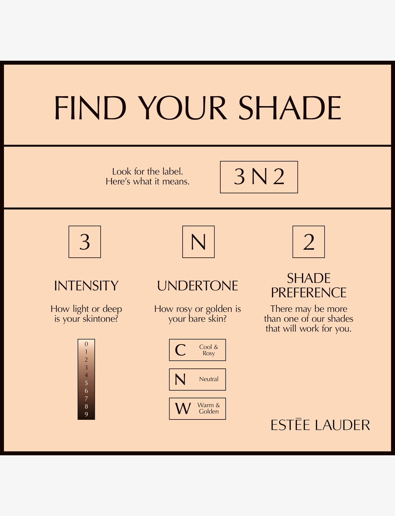 Estée Lauder - Double Wear Stay-In-Place Makeup SPF10 - smink - 6n2 truffle - 4