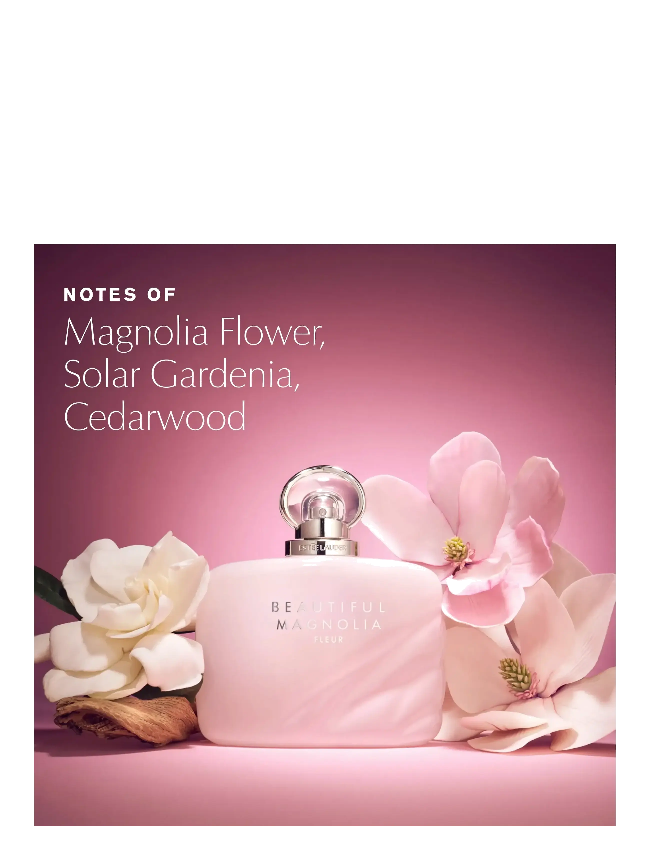 Beautiful Magnolia Fleur 3