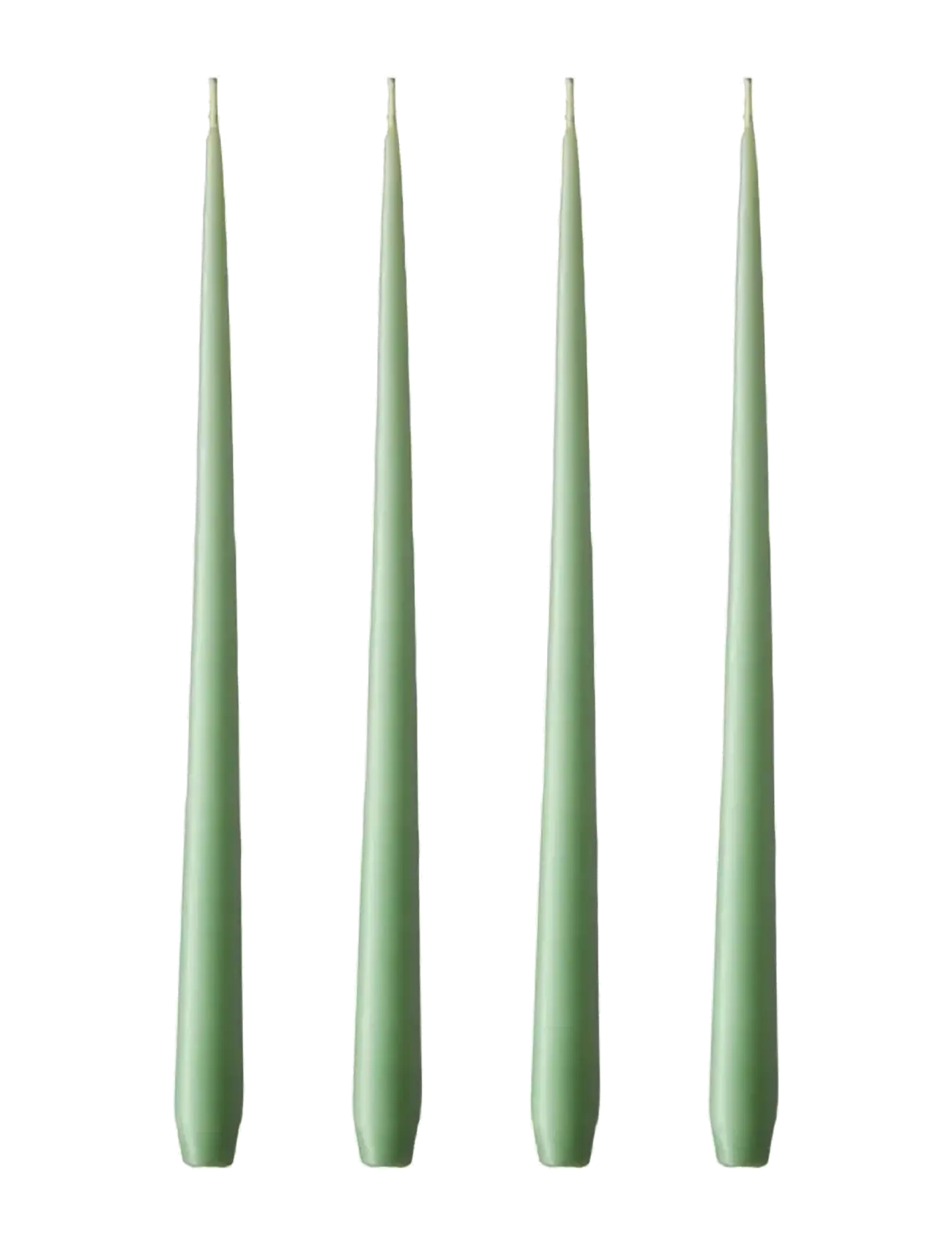 ester & erik Slim Candle 24cm 4-Pack, H:24 cm, Green, Stearinlys > Søjlelys, Unisex