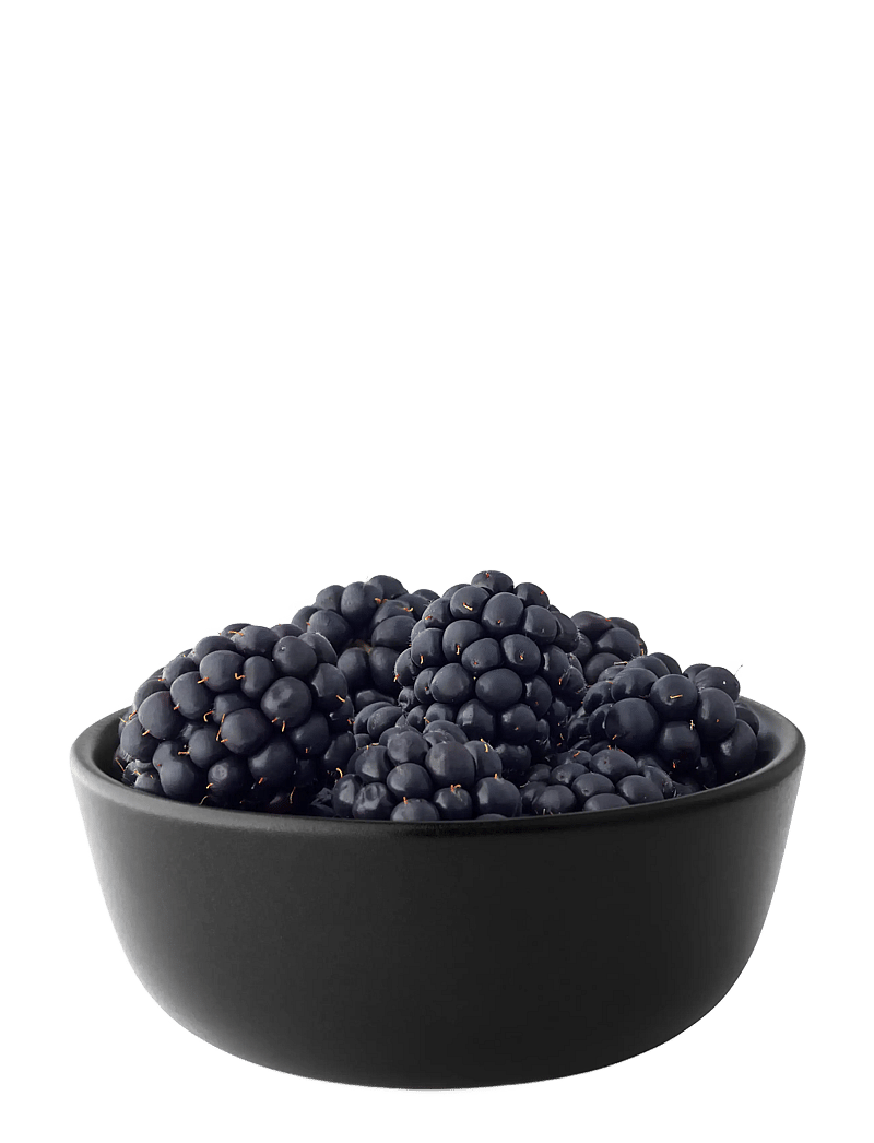 Eva Solo - Bowl - puuviljakausid - black - 4