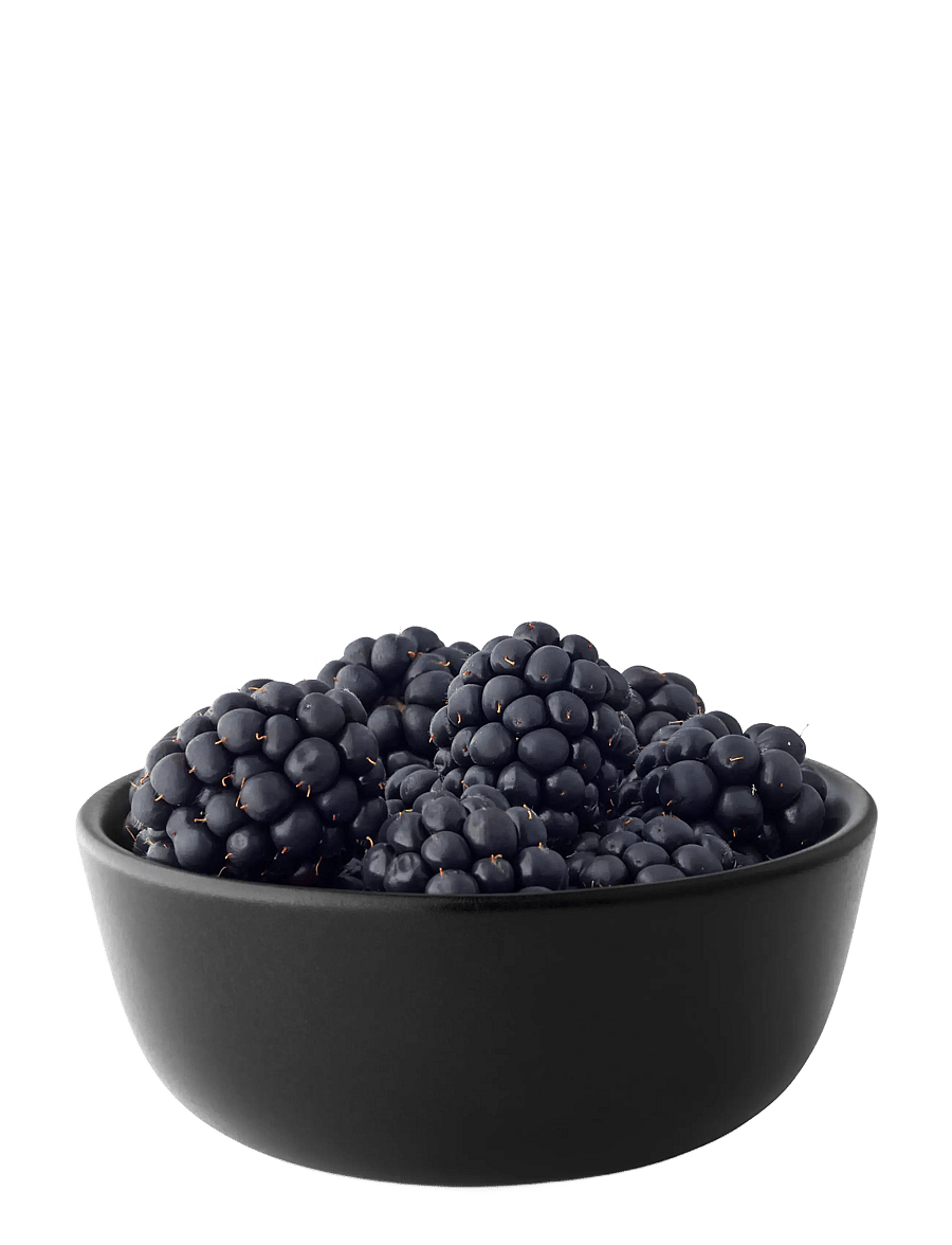 Eva Solo - Bowl - puuviljakausid - black - 4