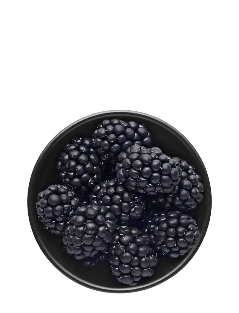 Eva Solo - Bowl - puuviljakausid - black - 5