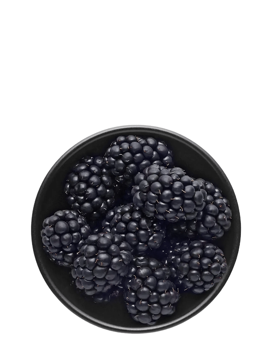 Eva Solo - Bowl - puuviljakausid - black - 5