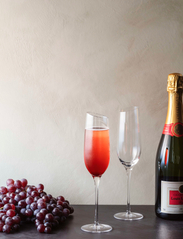 Eva Solo - Champagne - champagne glasses - clear - 4