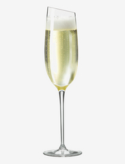 Vinglas Champagne - CLEAR