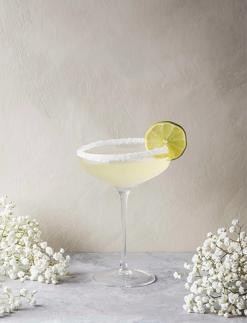 Eva Solo - Champagne Coupe - nach preis einkaufen - clear - 5