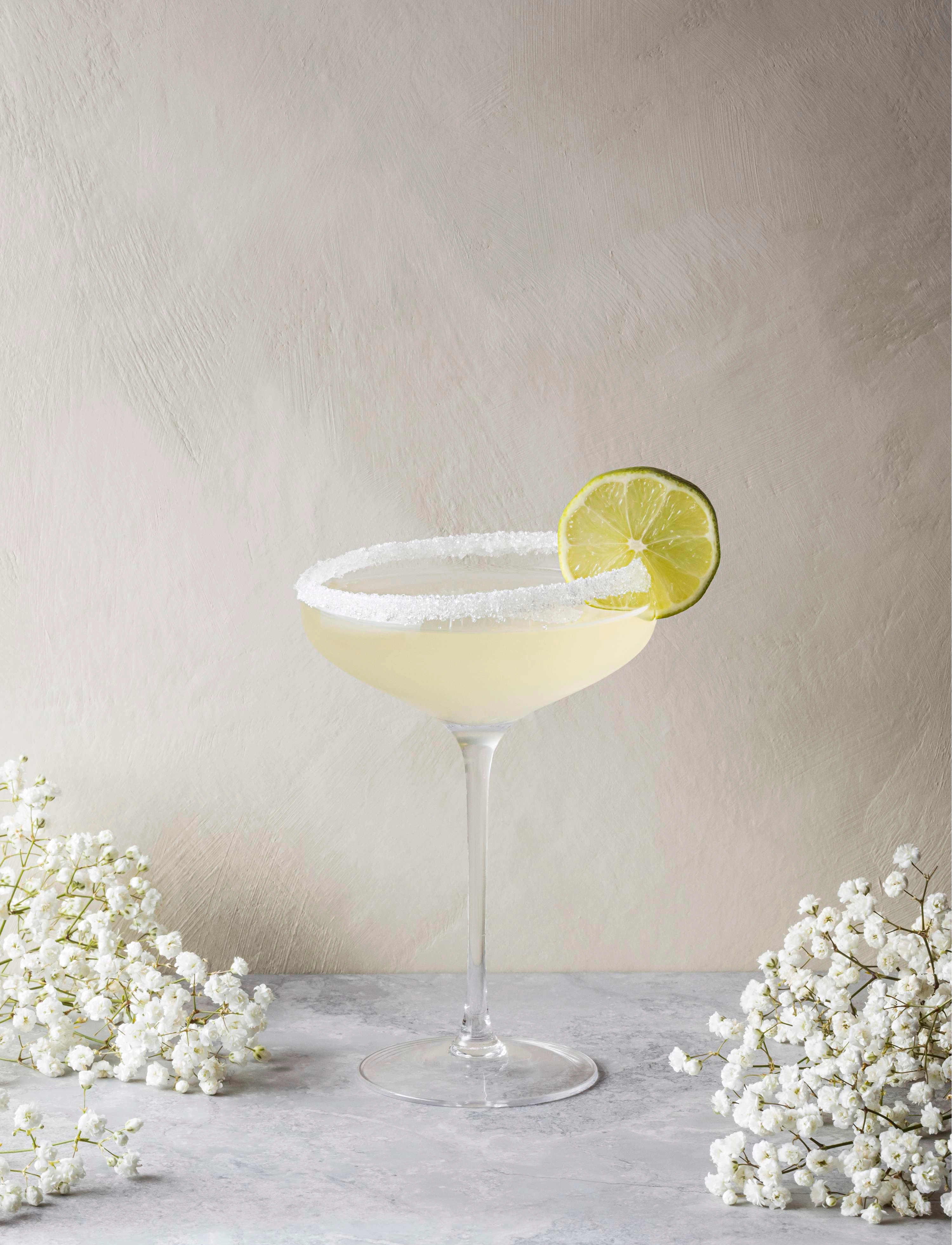 Eva Solo - Champagne Coupe - nach preis einkaufen - clear - 5