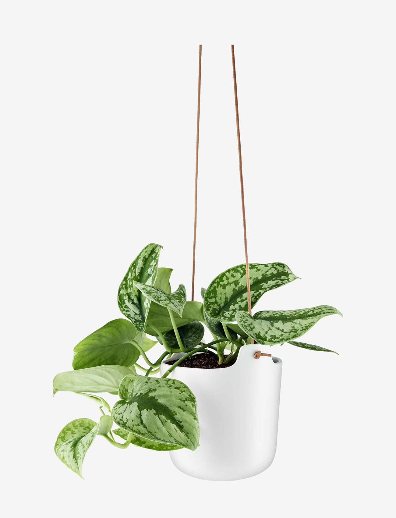 Eva Solo - Selfwatering pots hanging Clay white - clay white - 3