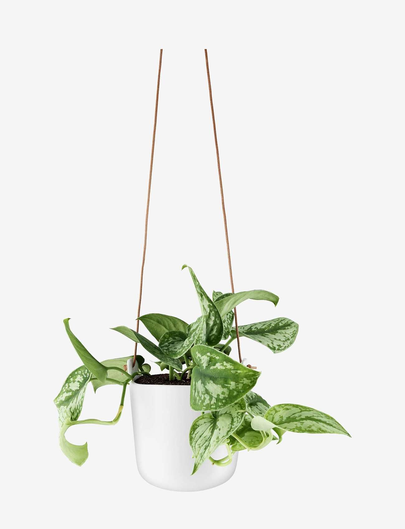 Eva Solo - Selfwatering pots hanging Clay white - clay white - 4