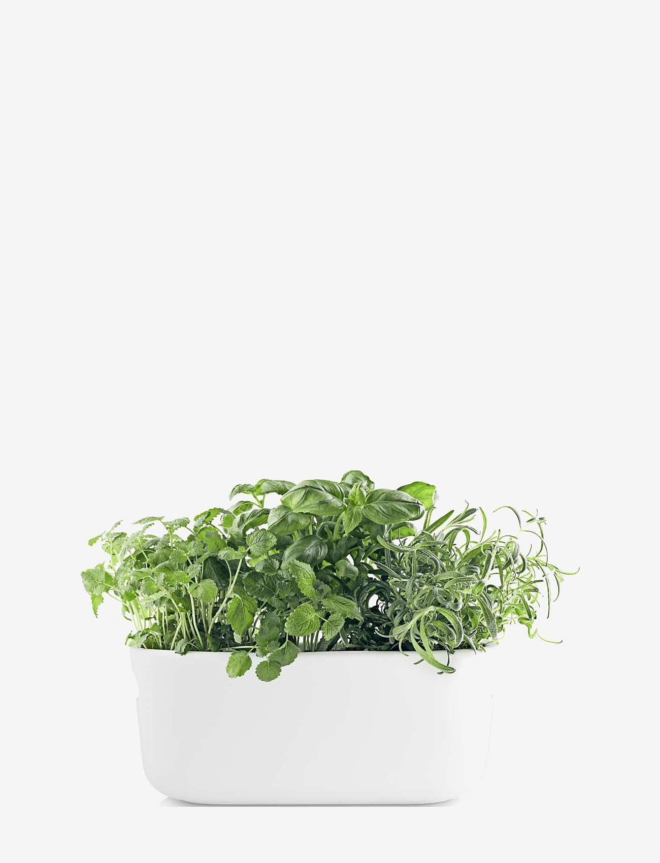 Eva Solo - Self-watering herb organiser white - blumentöpfe - white - 2