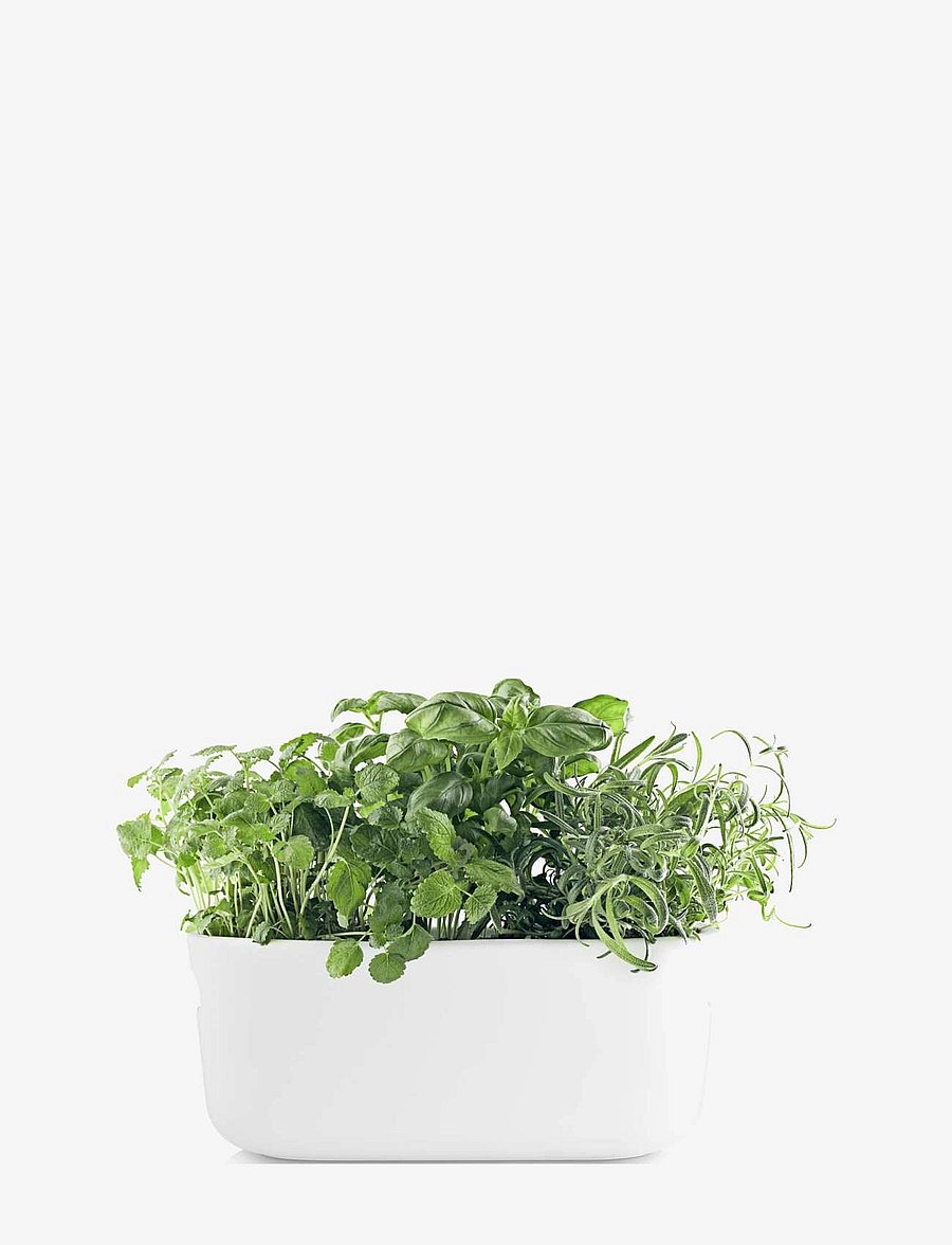 Eva Solo - Self-watering herb organiser white - blumentöpfe - white - 2