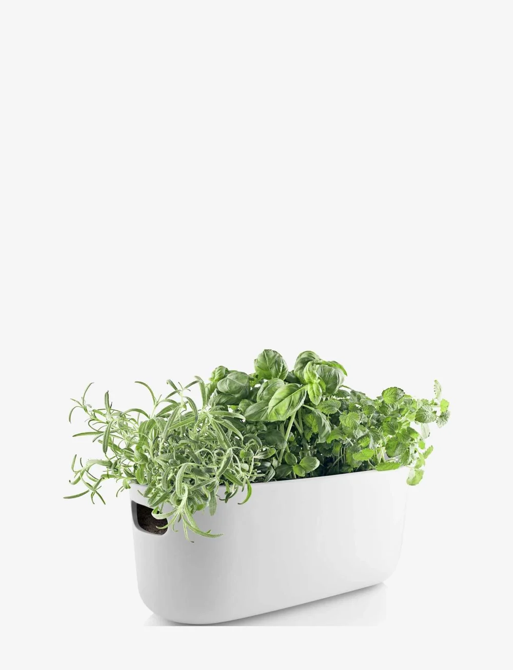 Eva Solo - Self-watering herb organiser white - blumentöpfe - white - 4