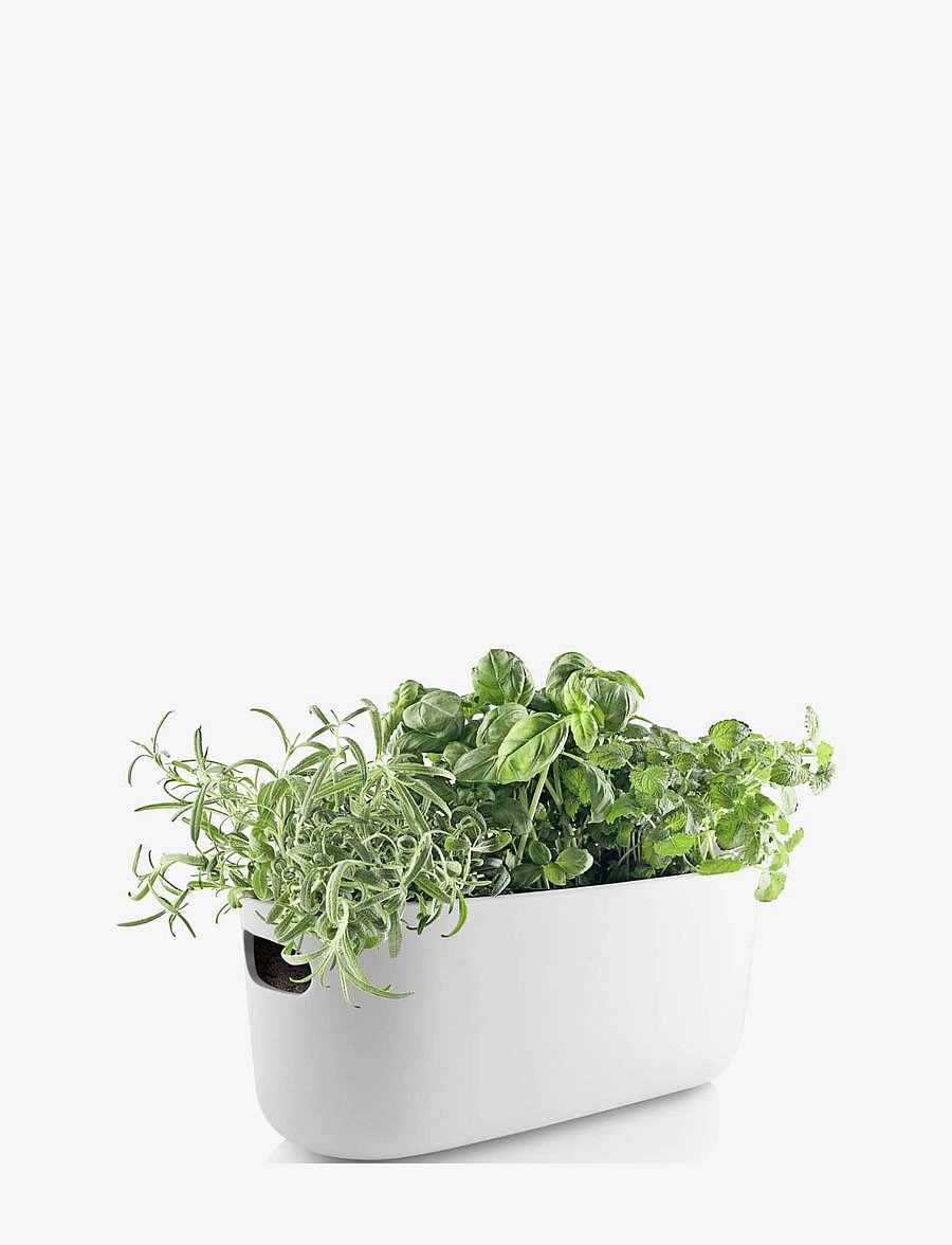 Eva Solo - Self-watering herb organiser white - blumentöpfe - white - 5