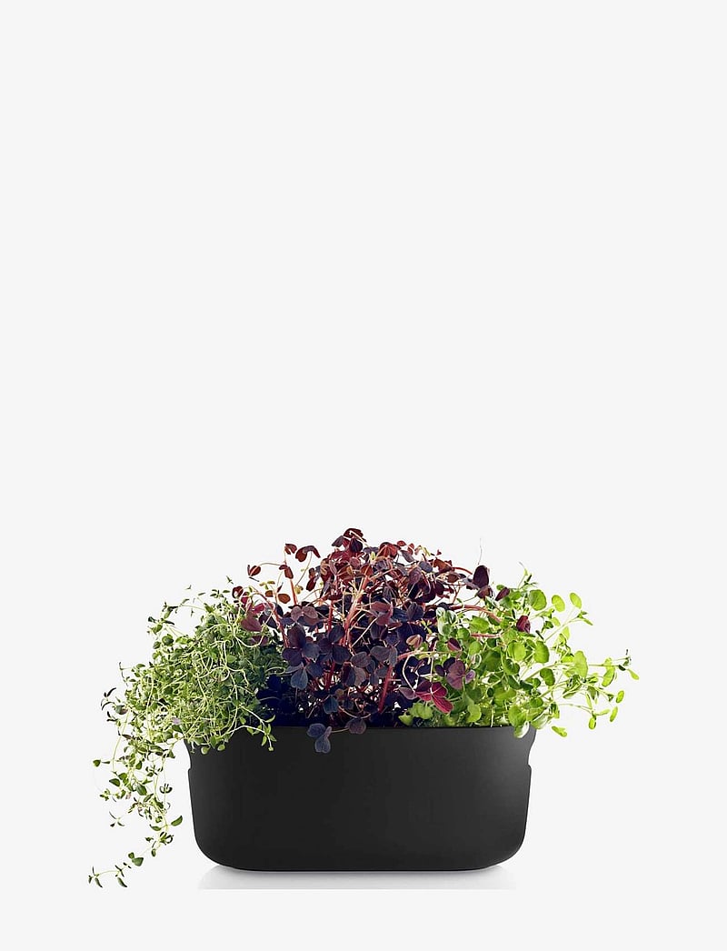 Eva Solo - Self-watering herb organiser black - lillepotid - black - 2