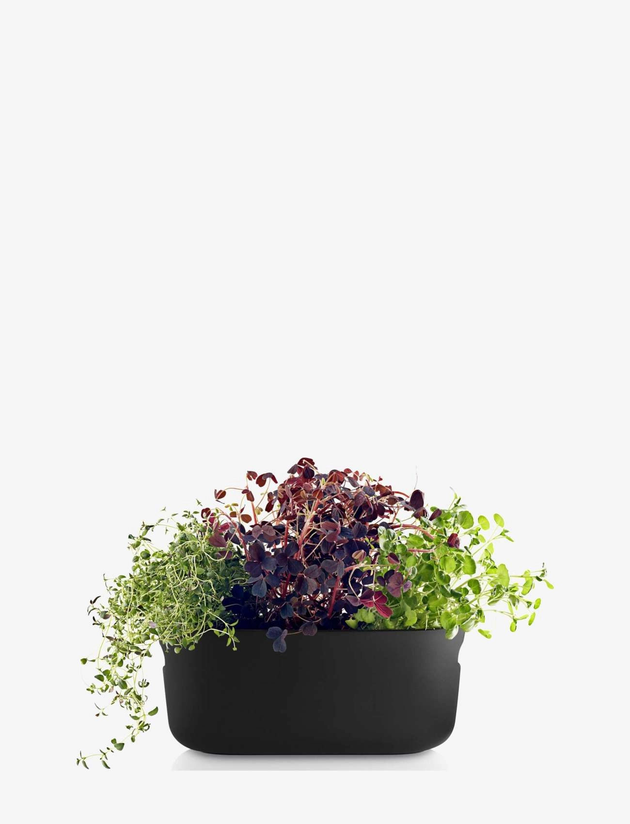 Eva Solo - Self-watering herb organiser black - plant pots - black - 2