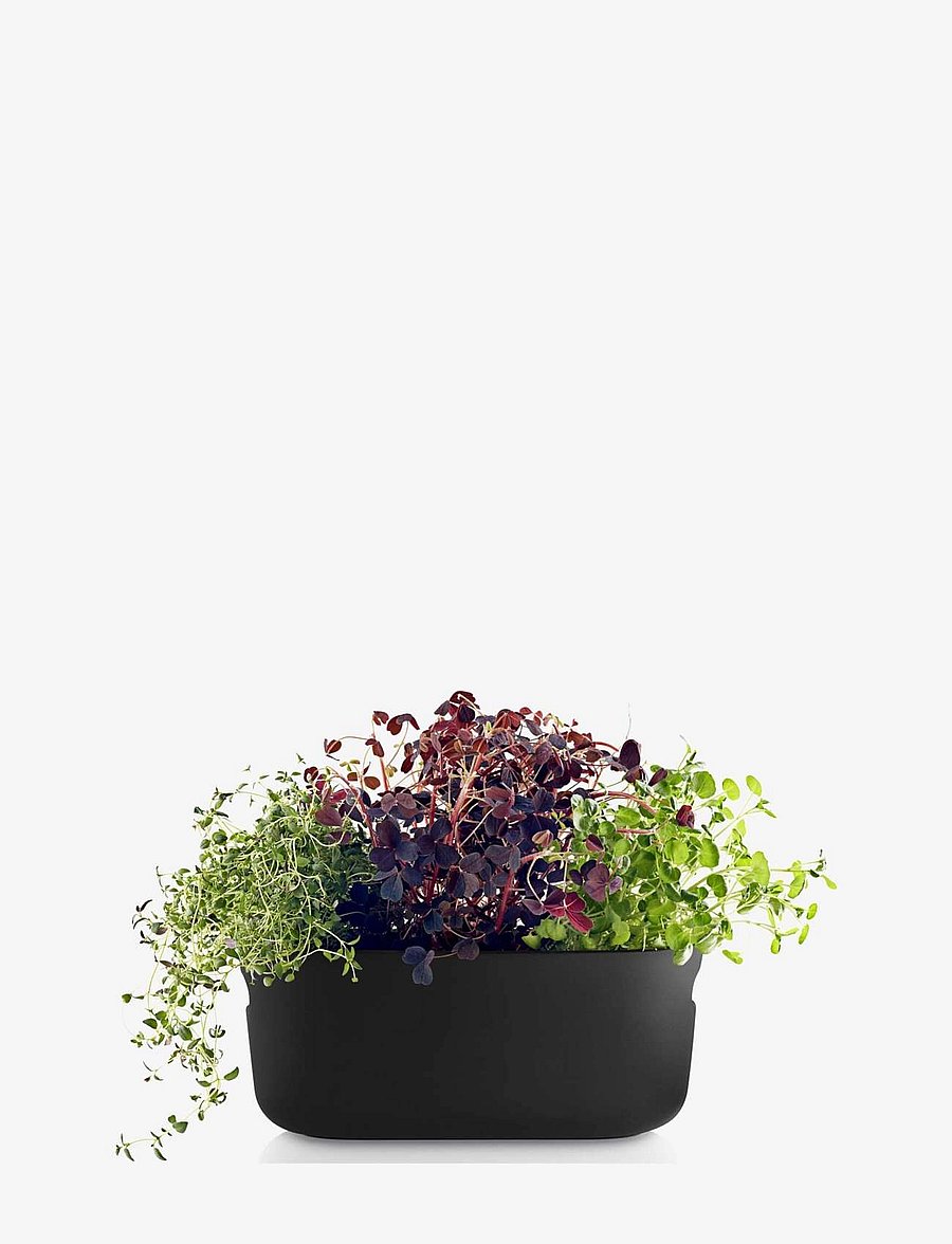 Eva Solo - Self-watering herb organiser black - blumentöpfe - black - 2