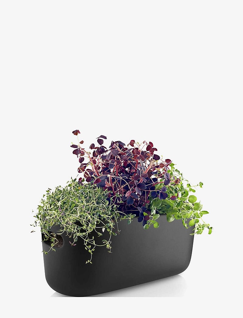 Eva Solo - Self-watering herb organiser black - lillepotid - black - 5