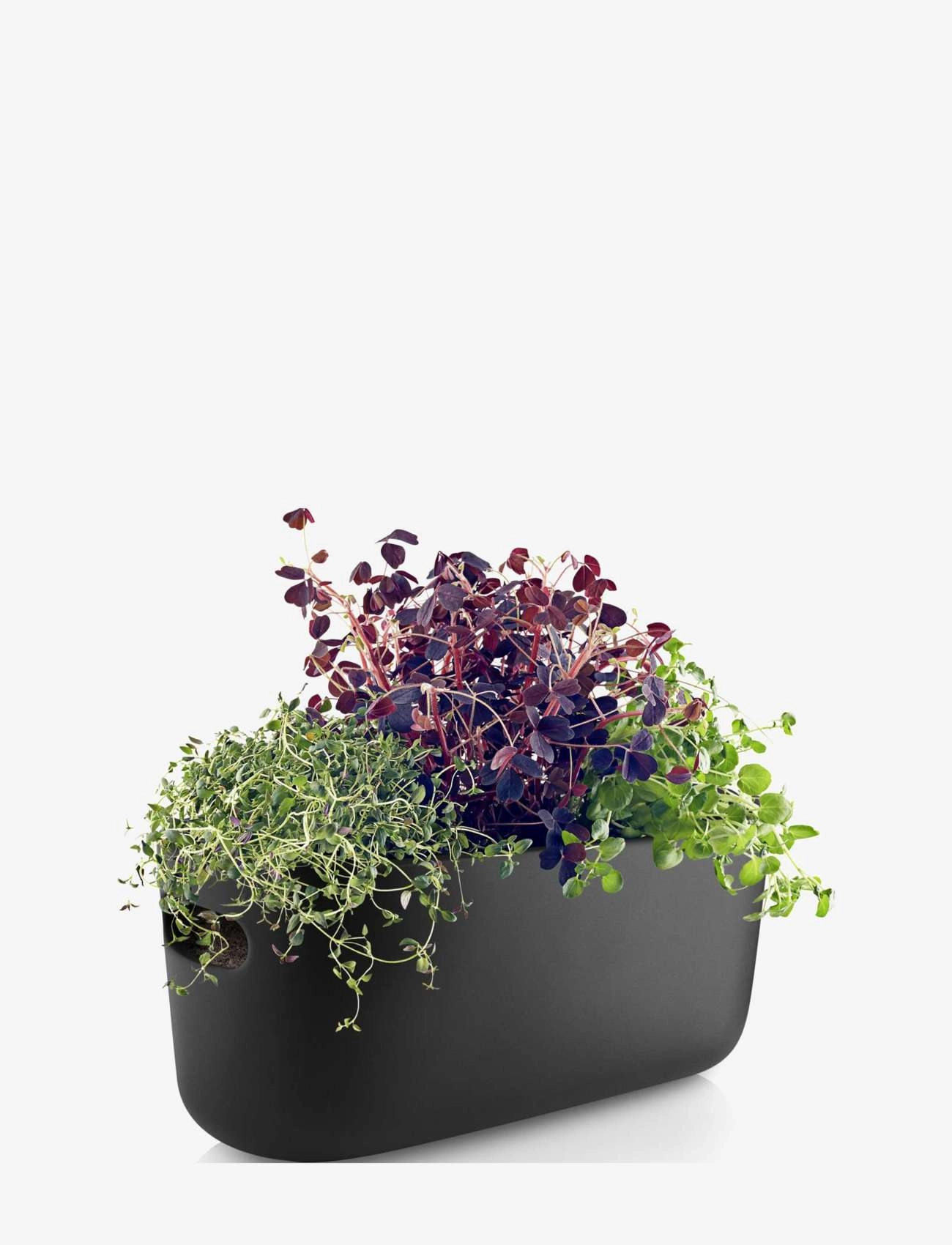 Eva Solo - Self-watering herb organiser black - plant pots - black - 5