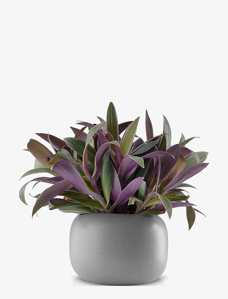 Eva Solo - Stone flowerpot - blumentöpfe - grey - 2
