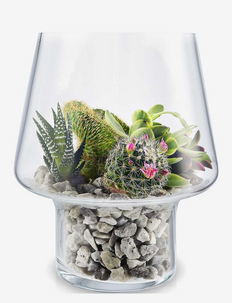 Succulent glass vase, Eva Solo