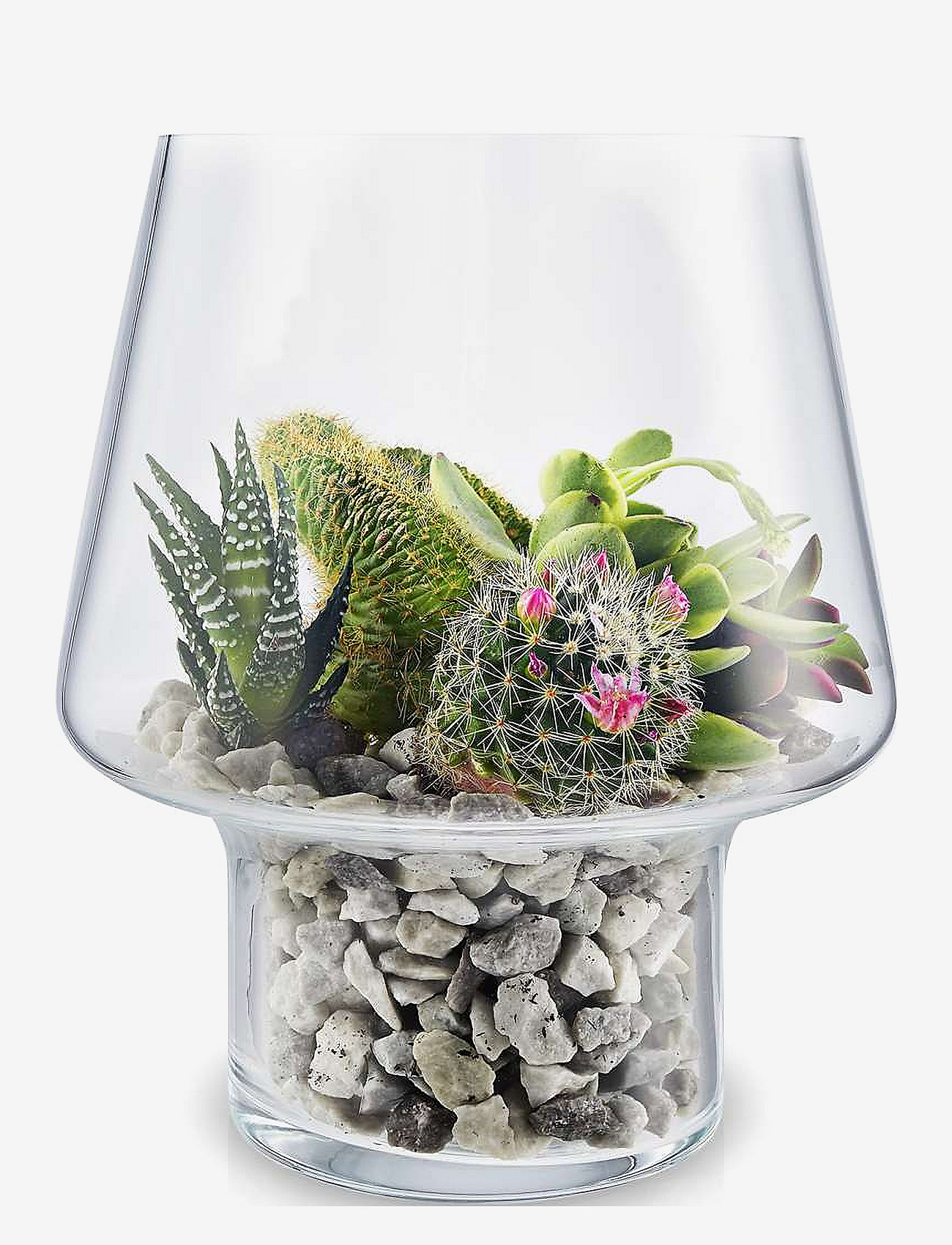 Eva Solo - Succulent glass vase - lielas vāzes - clear - 0