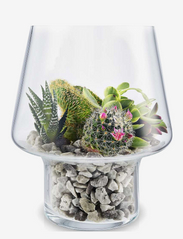 Succulent glass vase - CLEAR