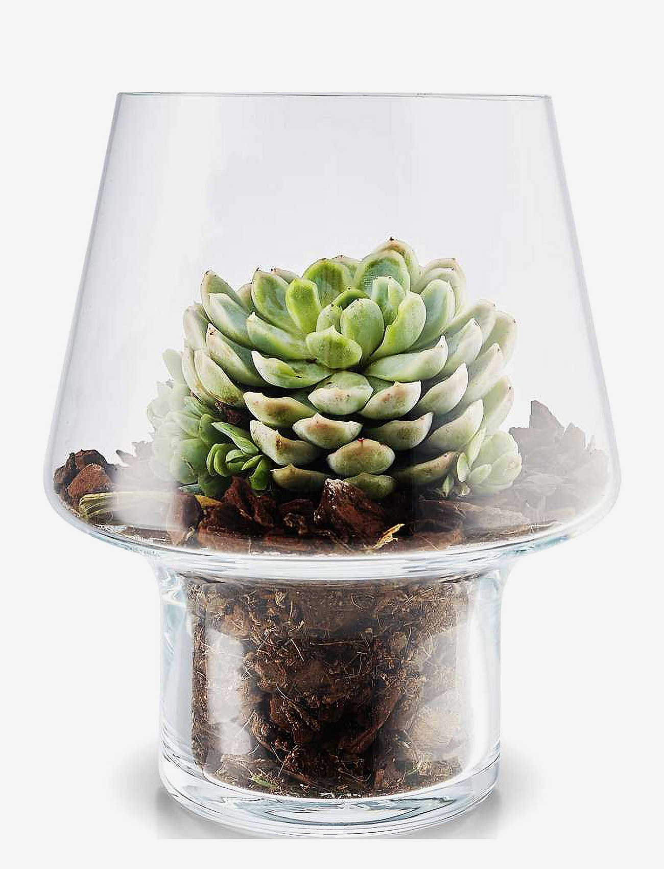 Eva Solo - Succulent glass vase - lielas vāzes - clear - 1