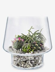 Succulent glass vase Ø21cm - CLEAR