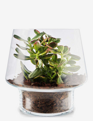 Eva Solo - Succulent glass vase Ø21cm - suured vaasid - clear - 1