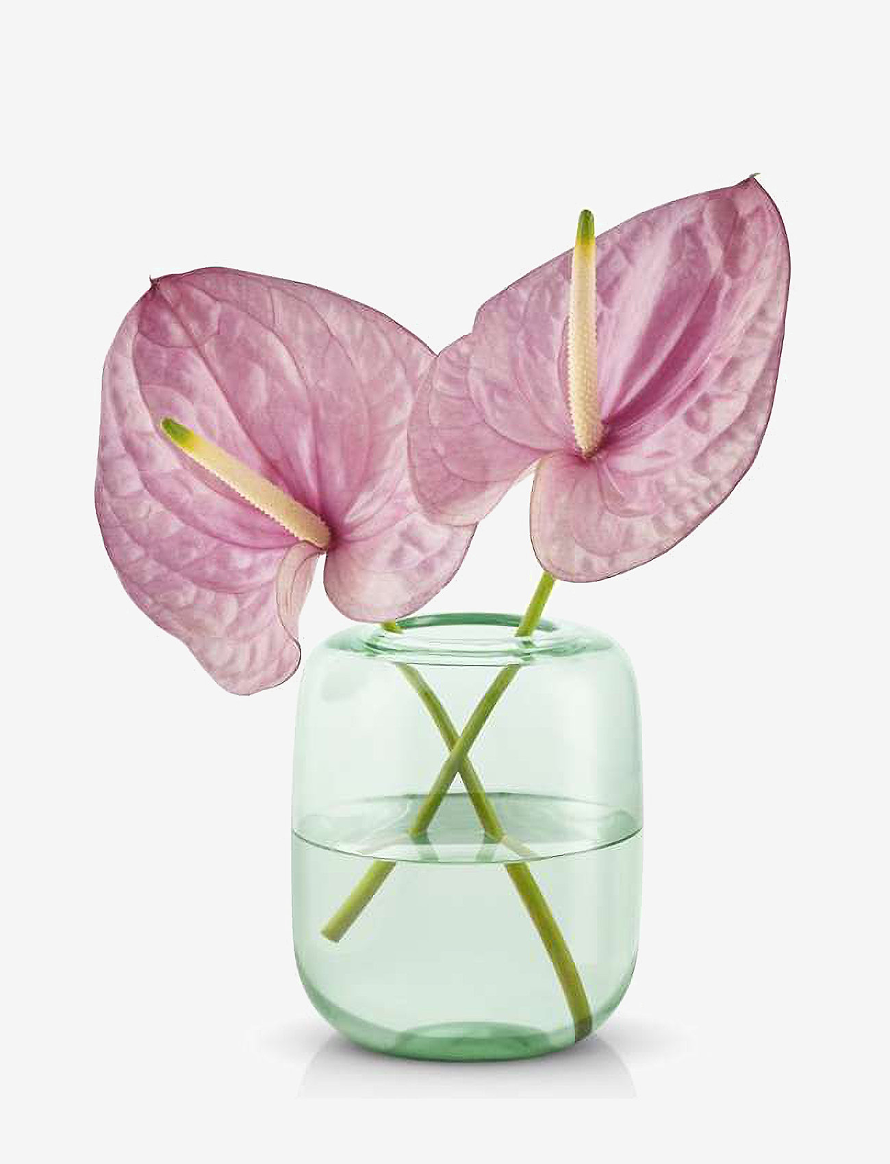 Eva Solo - Acorn vase H16,5 Mint green - mint green - 1
