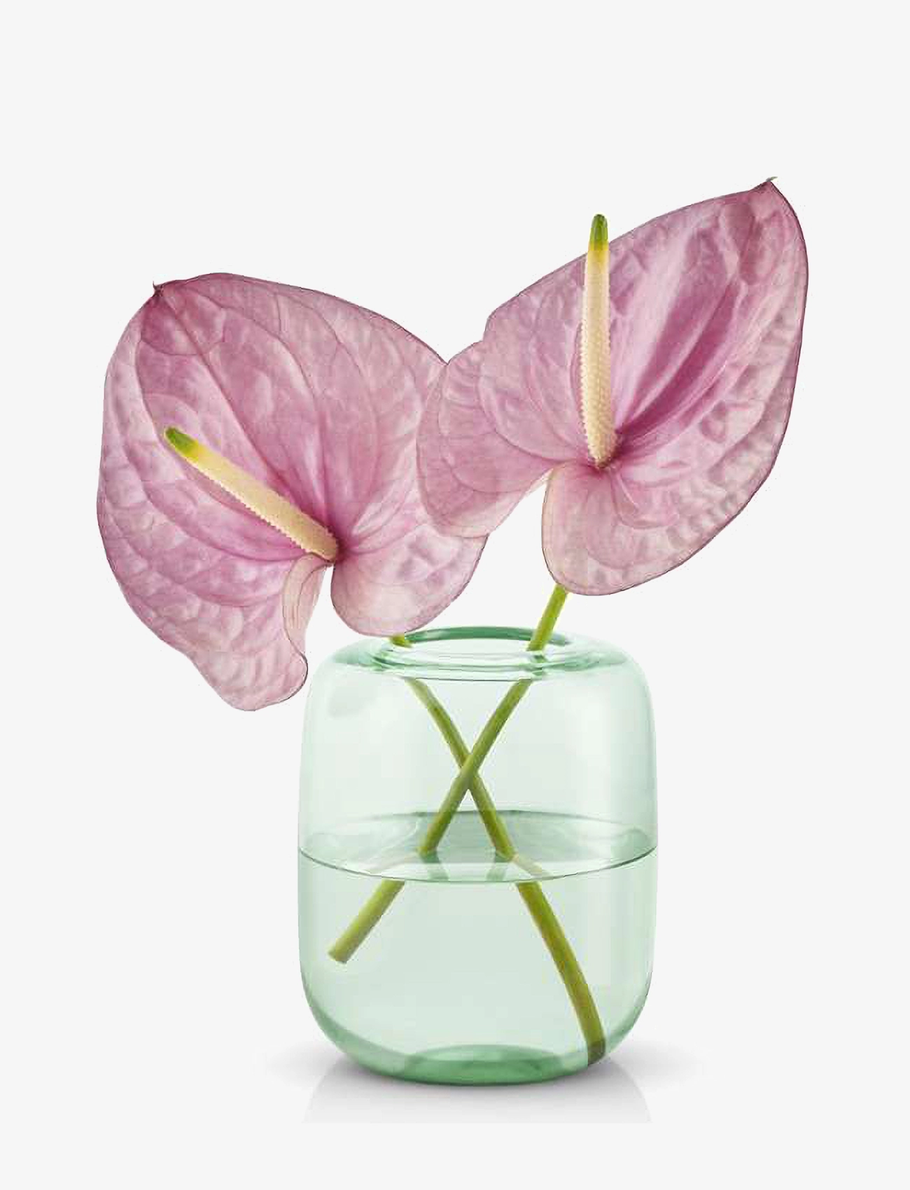 Eva Solo - Acorn vase H16,5 Mint green - mint green - 1