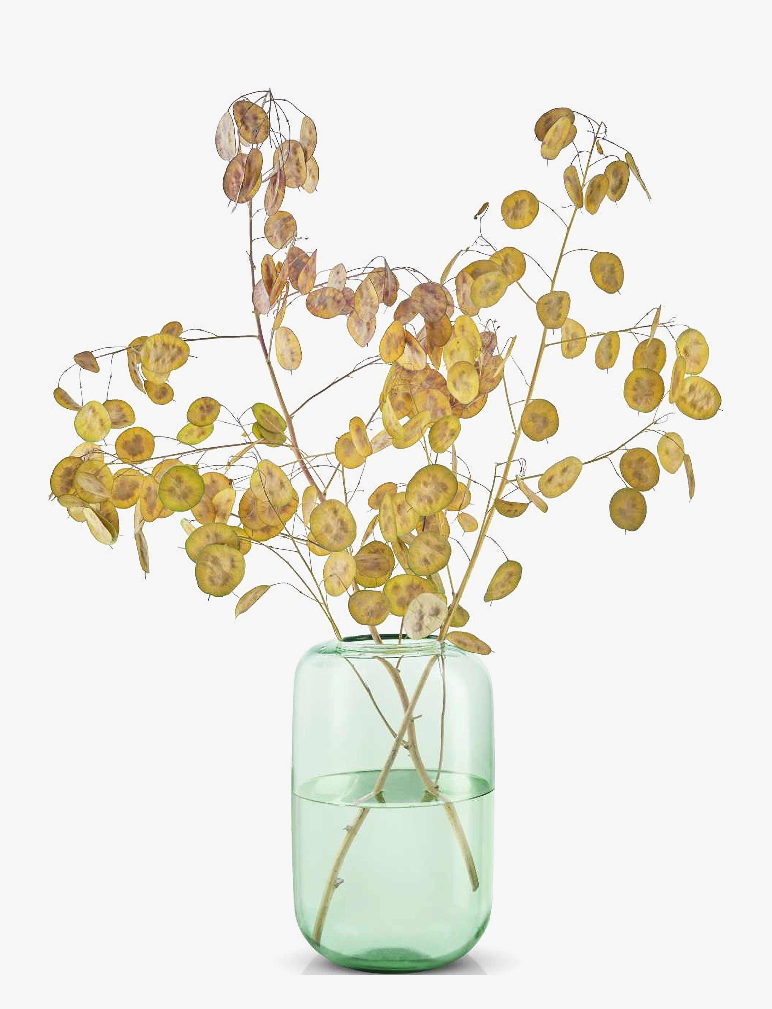 Eva Solo - Acorn vase H22 Mint green - mint green - 3
