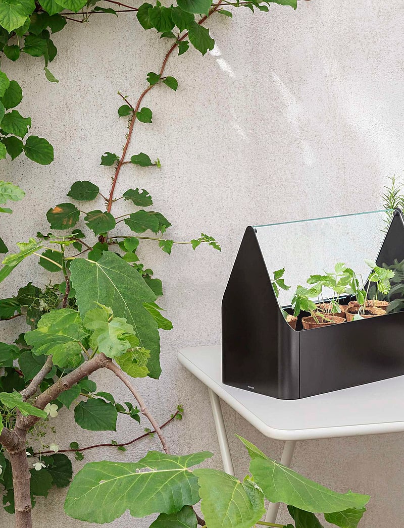 Eva Solo - Simply Grow Mini Greenhouse - nach preis einkaufen - black - 4