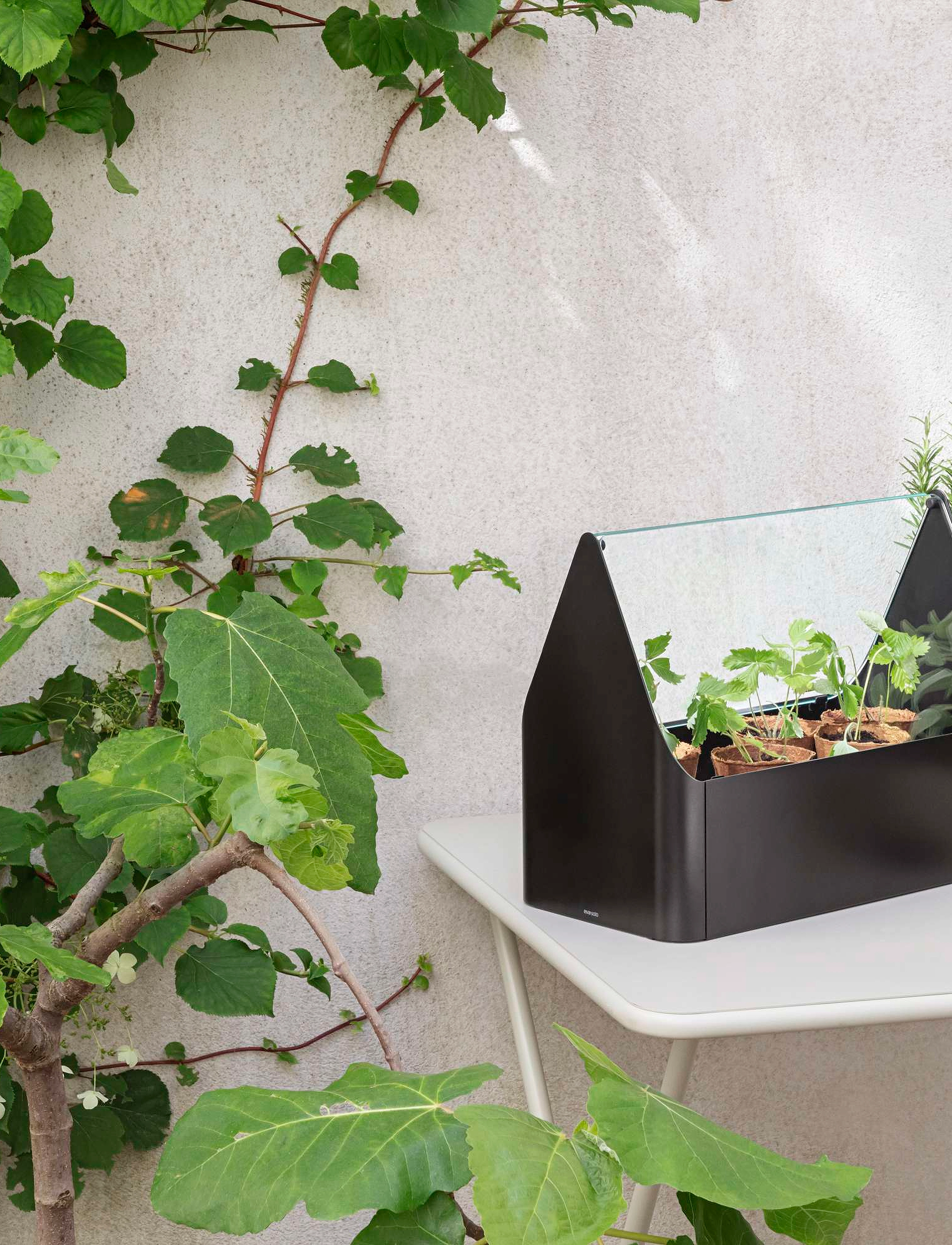 Eva Solo - Simply Grow Mini Greenhouse - shop by price - black - 4