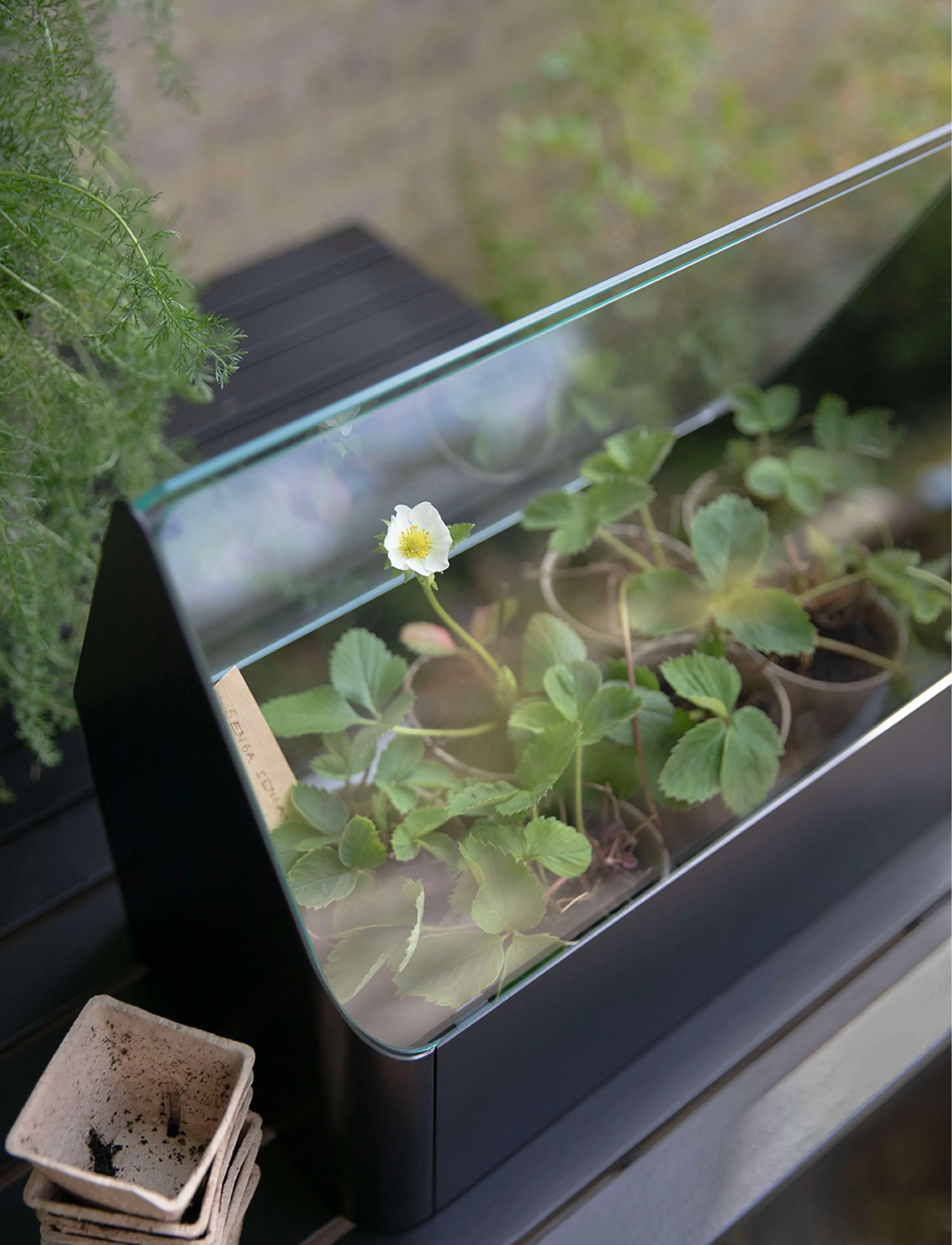 Eva Solo - Simply Grow Mini Greenhouse - shop by price - black - 5