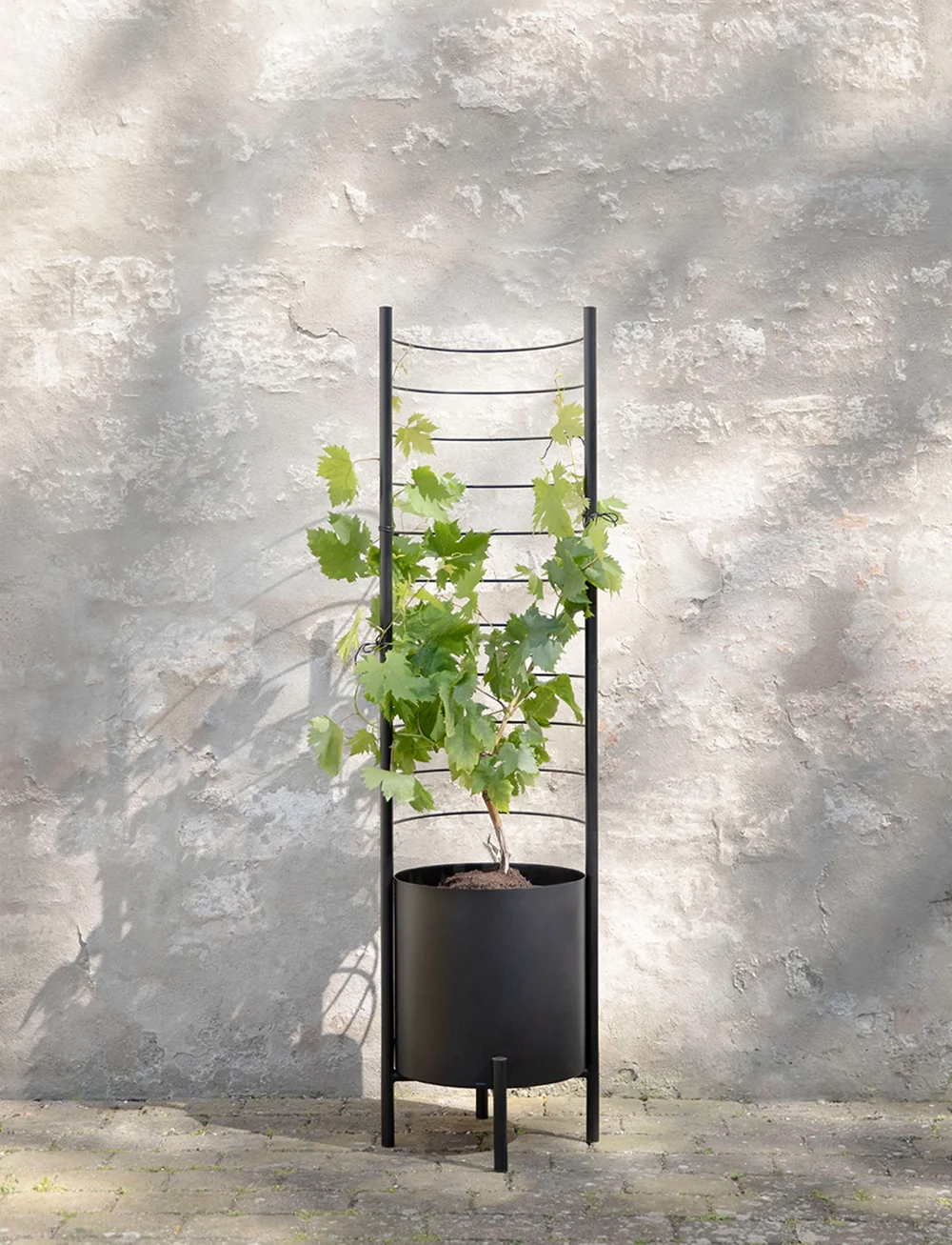 Eva Solo - Simply Grow Plant Pot Trellis - blumentöpfe - black - 2