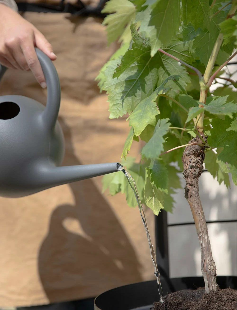 Eva Solo - Simply Grow Plant Pot Trellis - blumentöpfe - black - 4