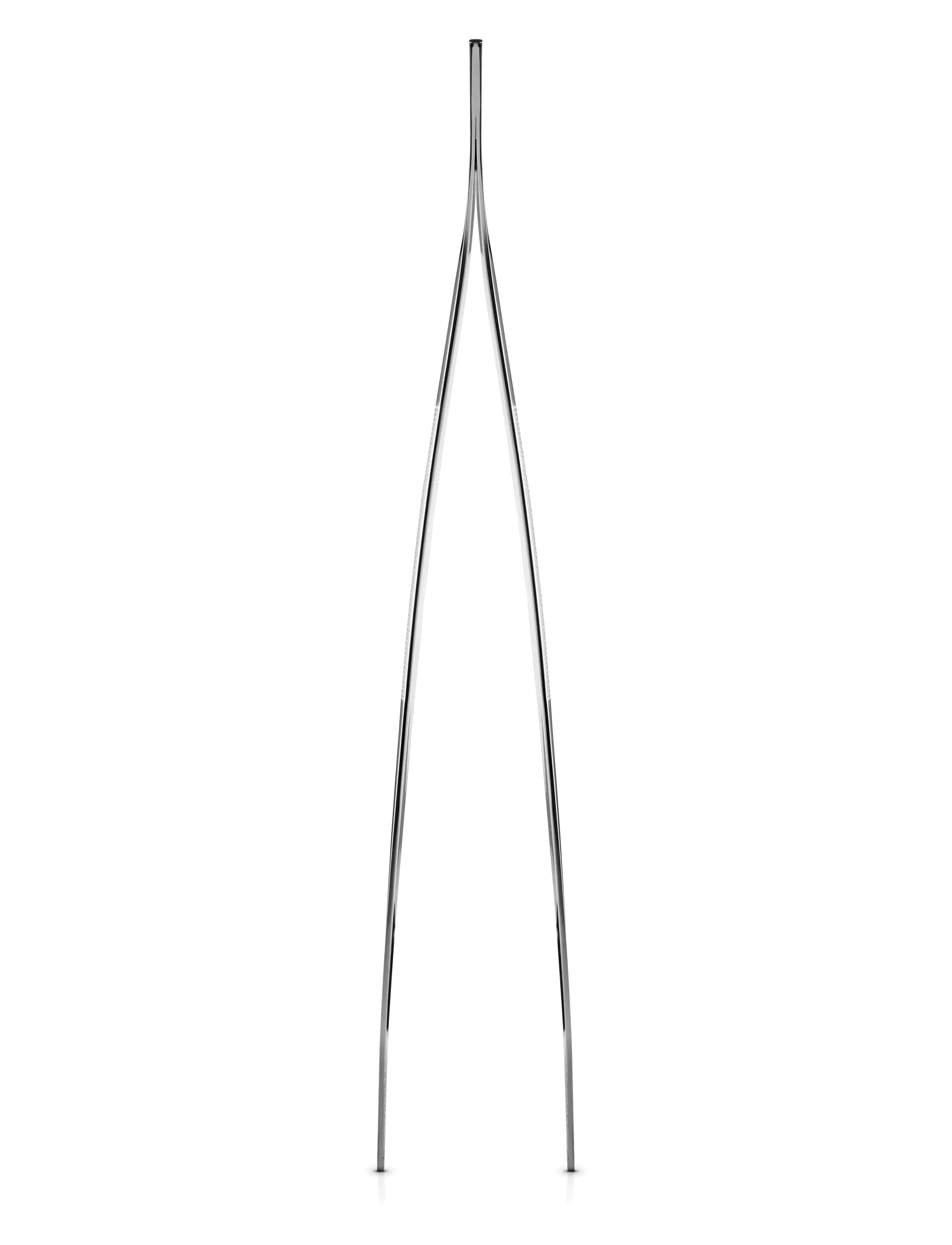 Eva Trio - Food tweezers - tangid ja pintsetid - brushed steel - 2