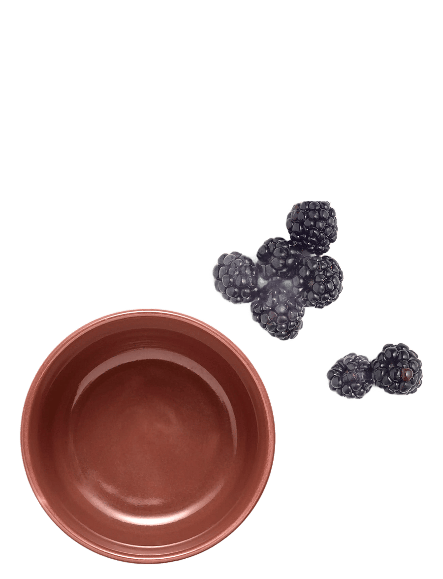 Eva Trio - Legio Nova Palette Bowl 0.25 L Ø10 cm Redbrown - müslischalen - redbrown - 2