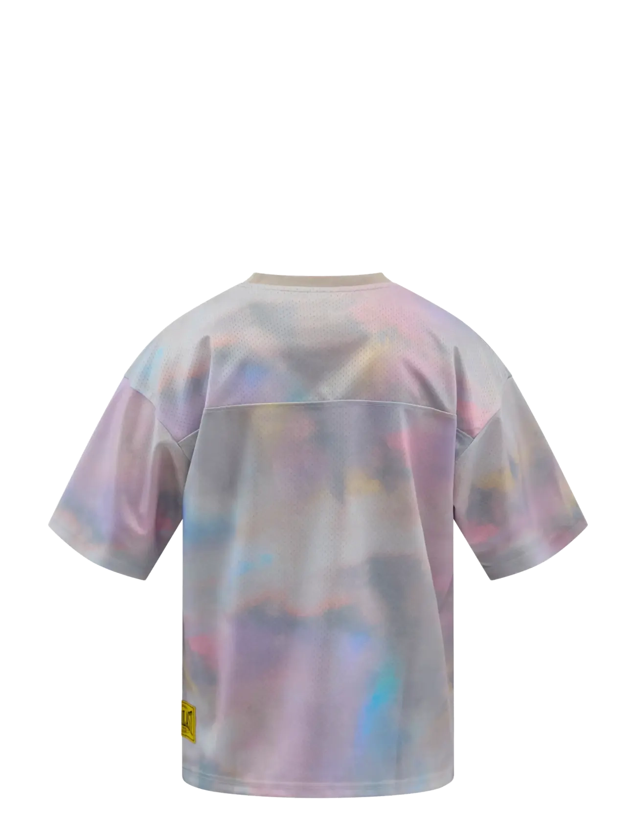 Everlast - Washed Mesh Jersey Short Sleeve - white - 1